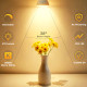 GU10 Dimmable Bulb